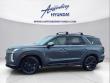 New 2025 Hyundai Palisade XRT AWD SUV