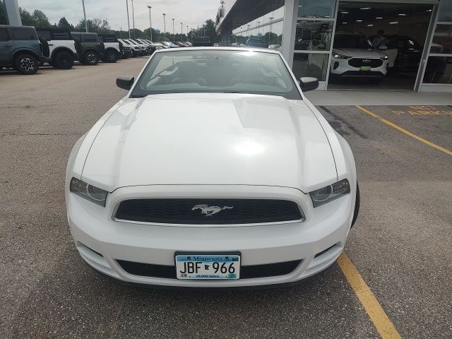 Used 2014 Ford Mustang V6 with VIN 1ZVBP8EM3E5277991 for sale in Austin, Minnesota