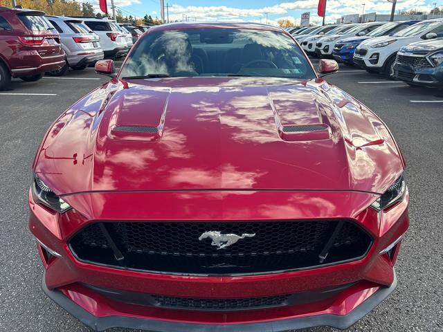 2021 Ford Mustang GT photo 2