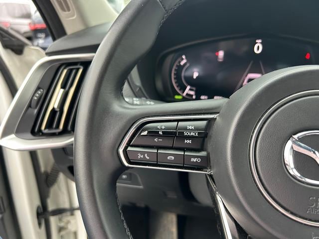 2025 Mazda CX-70 Premium Package - Photo 19