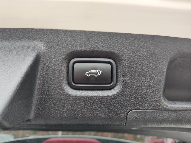 2023 Hyundai Santa Fe photo 10 of 28