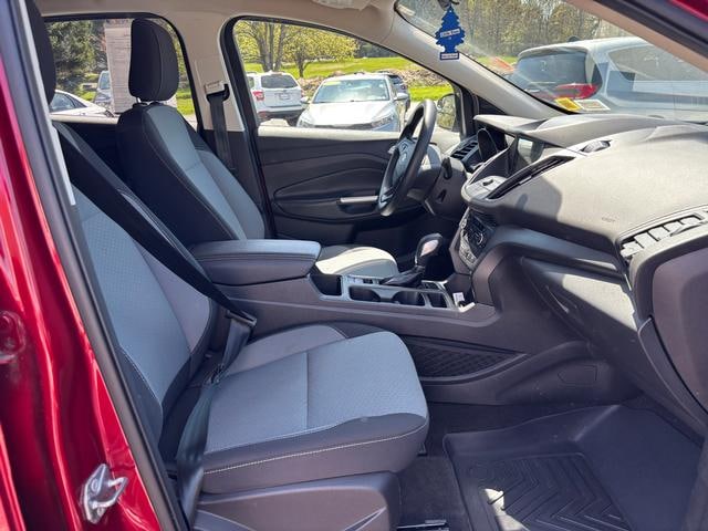 2019 Ford Escape SE Ruby Red Tinted at Premiere Auto Sales