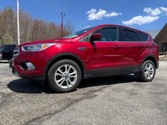 2019 Ford Escape SE Ruby Red Tinted at Premiere Auto Sales
