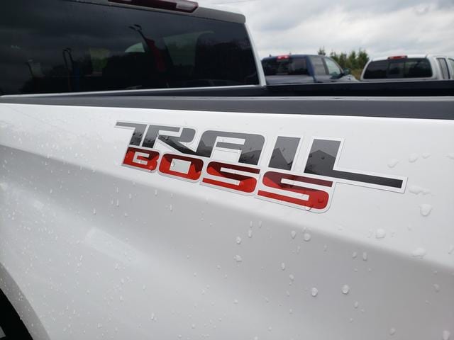 2023 Chevrolet Silverado 1500 LT Trail Boss - 11