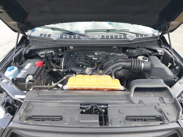 View 25