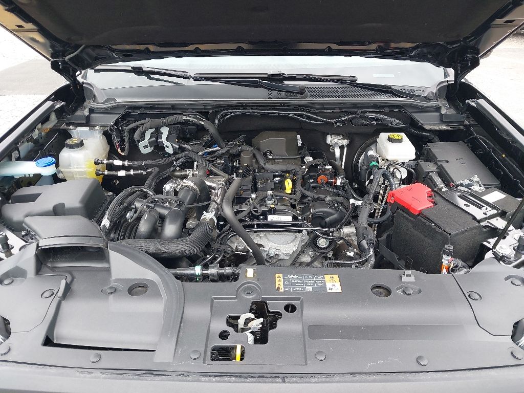 View 25