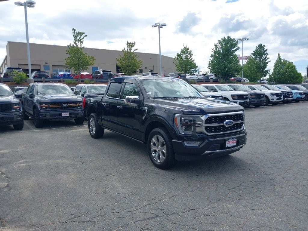 2023 Ford F-150 Platinum 4x4 SuperCrew 5-1/2 Box's photo