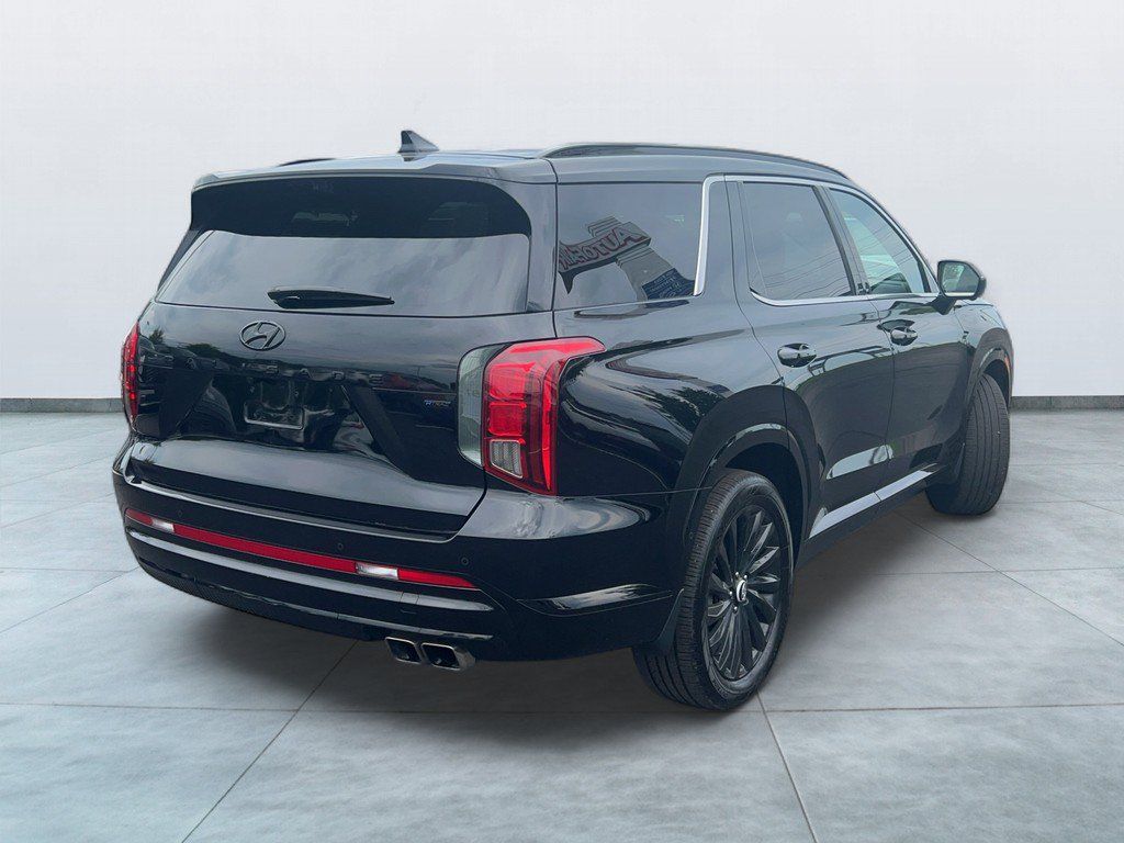 2025 Hyundai Palisade Calligraphy Night Edition - Photo 6