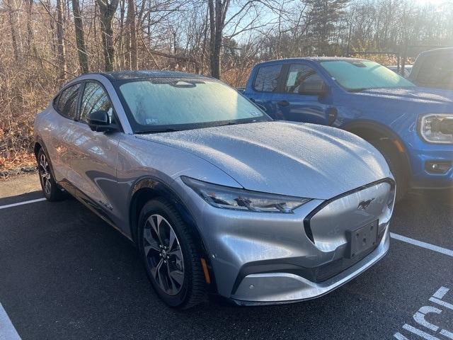 2021 Ford Mustang Mach-E Premium AWD's photo