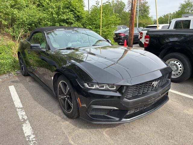 2024 Ford Mustang's photo