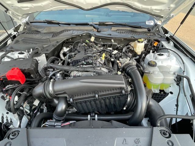 2025 Ford Mustang EcoBoost Fastback - Photo 11