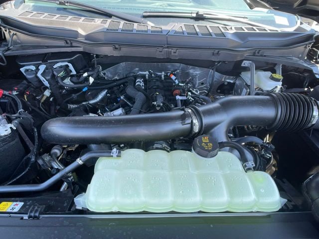 2026 Ford F-150 XLT - Photo 11