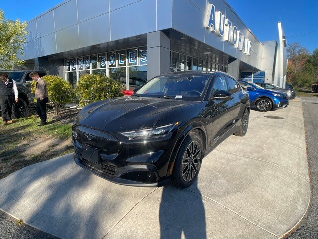 2025 Ford Mustang Mach-E Premium photo 4