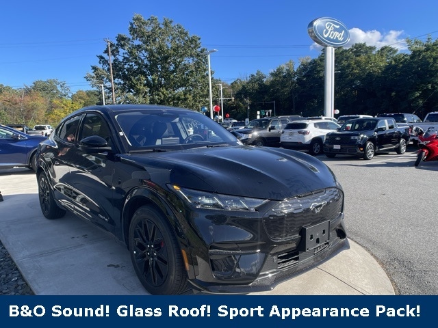 2025 Ford Mustang Mach-E Premium AWD's photo