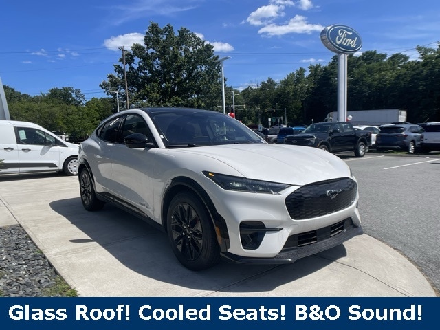 2025 Ford Mustang Mach-E Premium AWD's photo