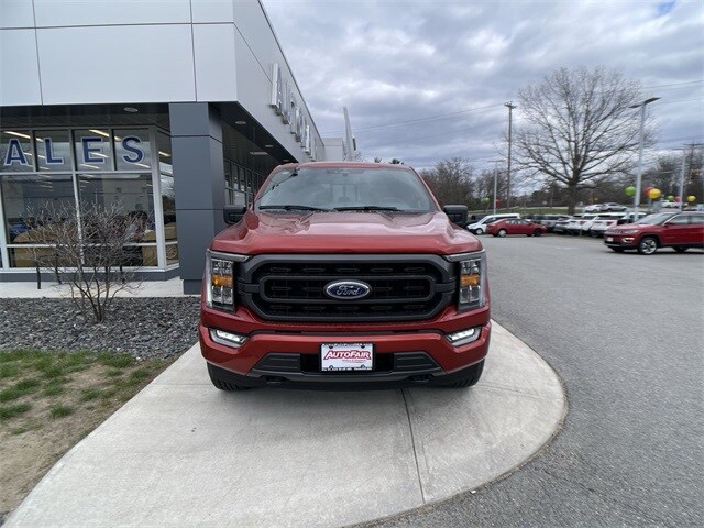 2023 Ford F-150 XLT photo 3