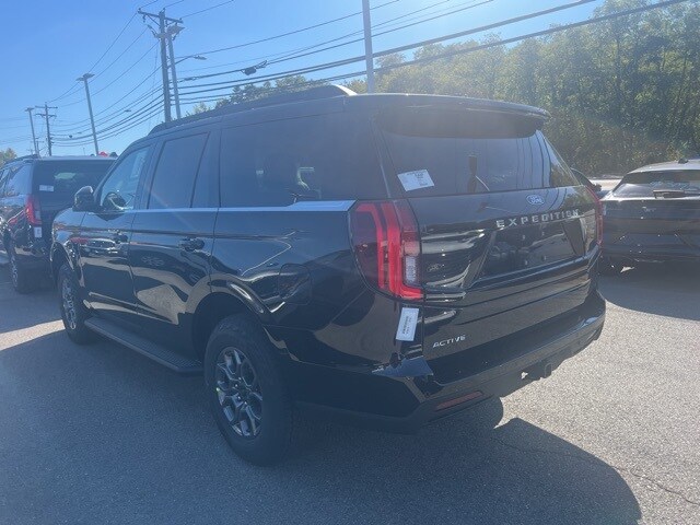 2025 Ford Expedition photo 3