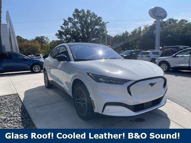 2025 Ford Mustang Mach-E Premium AWD's photo