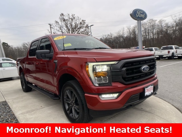 2023 Ford F-150 XLT's photo