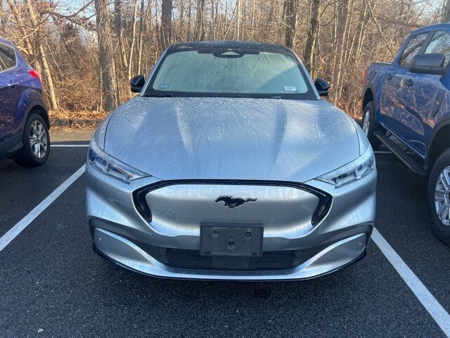 2021 Ford Mustang Mach-E Premium photo 2