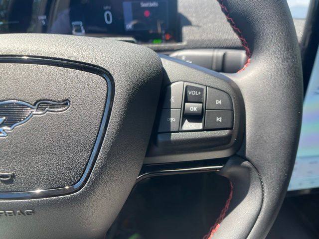 2025 Ford Mustang Mach-E Premium - Photo 20