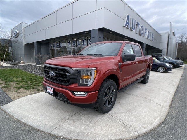 2023 Ford F-150 XLT photo 4