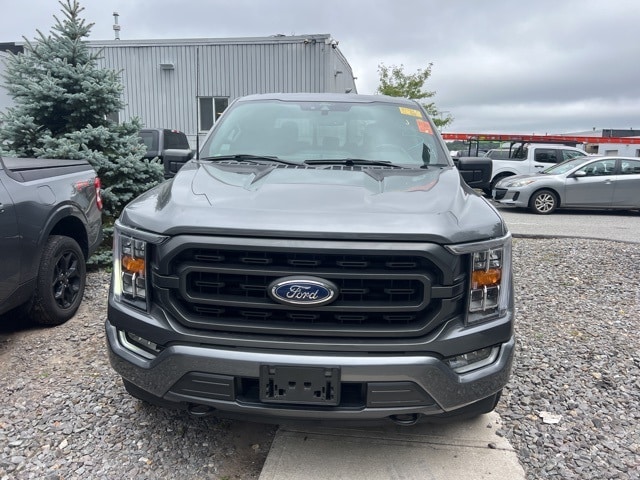 Certified 2021 Ford F-150 XLT with VIN 1FTFW1E81MFC76042 for sale in Haverhill, MA