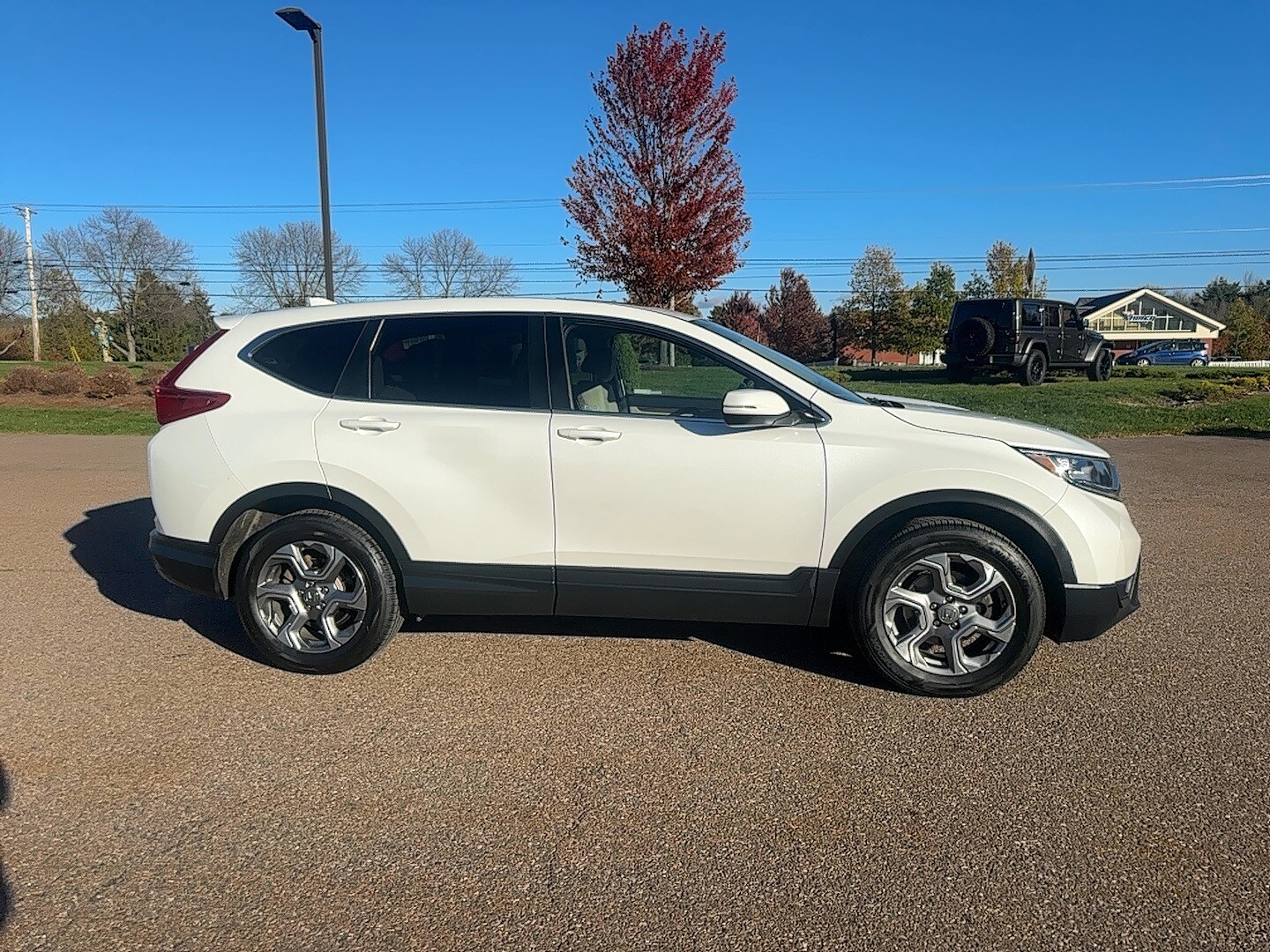 2019 Honda CR-V EX-L photo 3