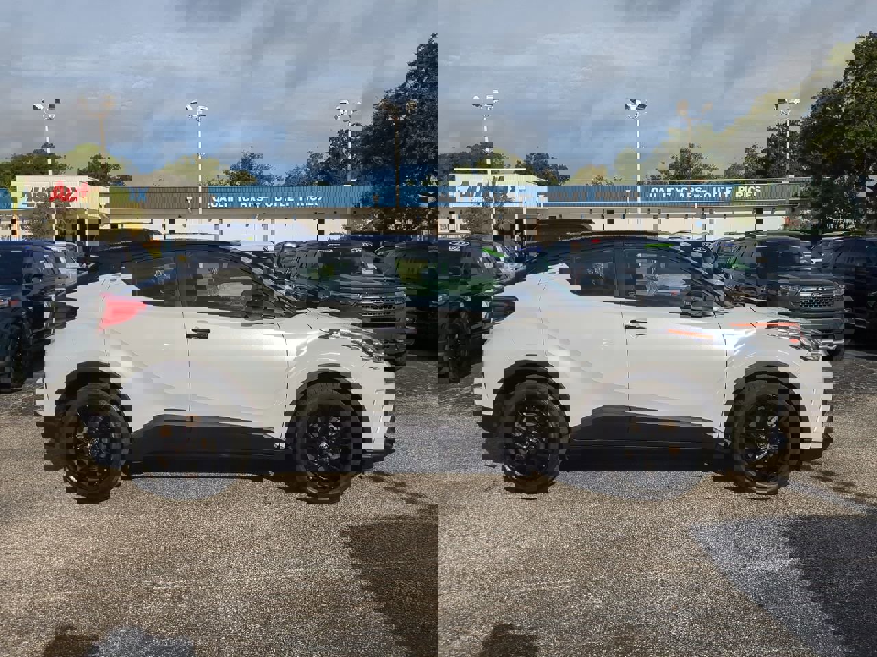 2022 Toyota C-HR Nightshade Edition photo 3