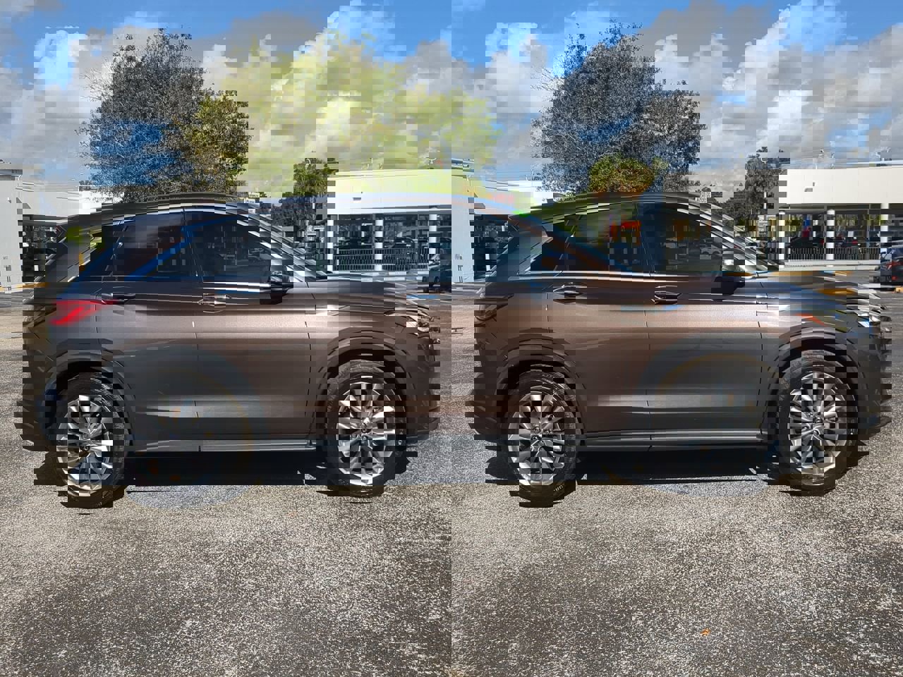 2019 Infiniti QX50 photo 3
