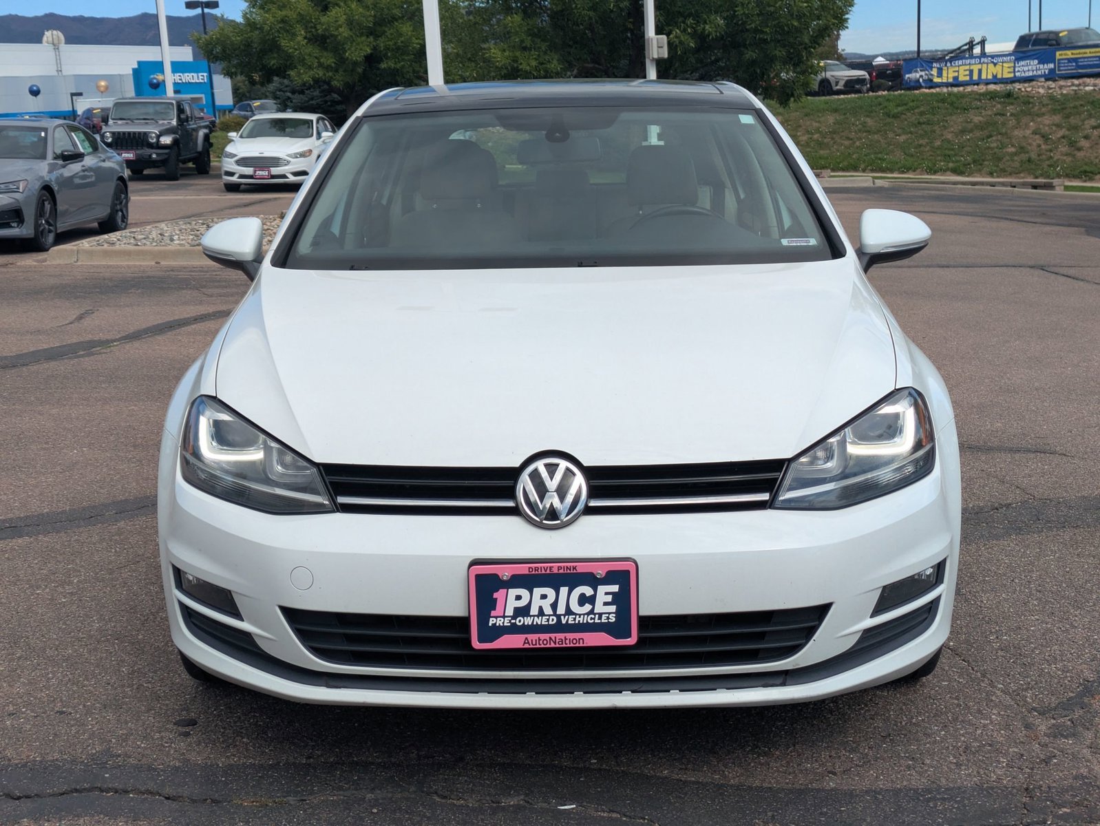 3VW217AU9FM053461