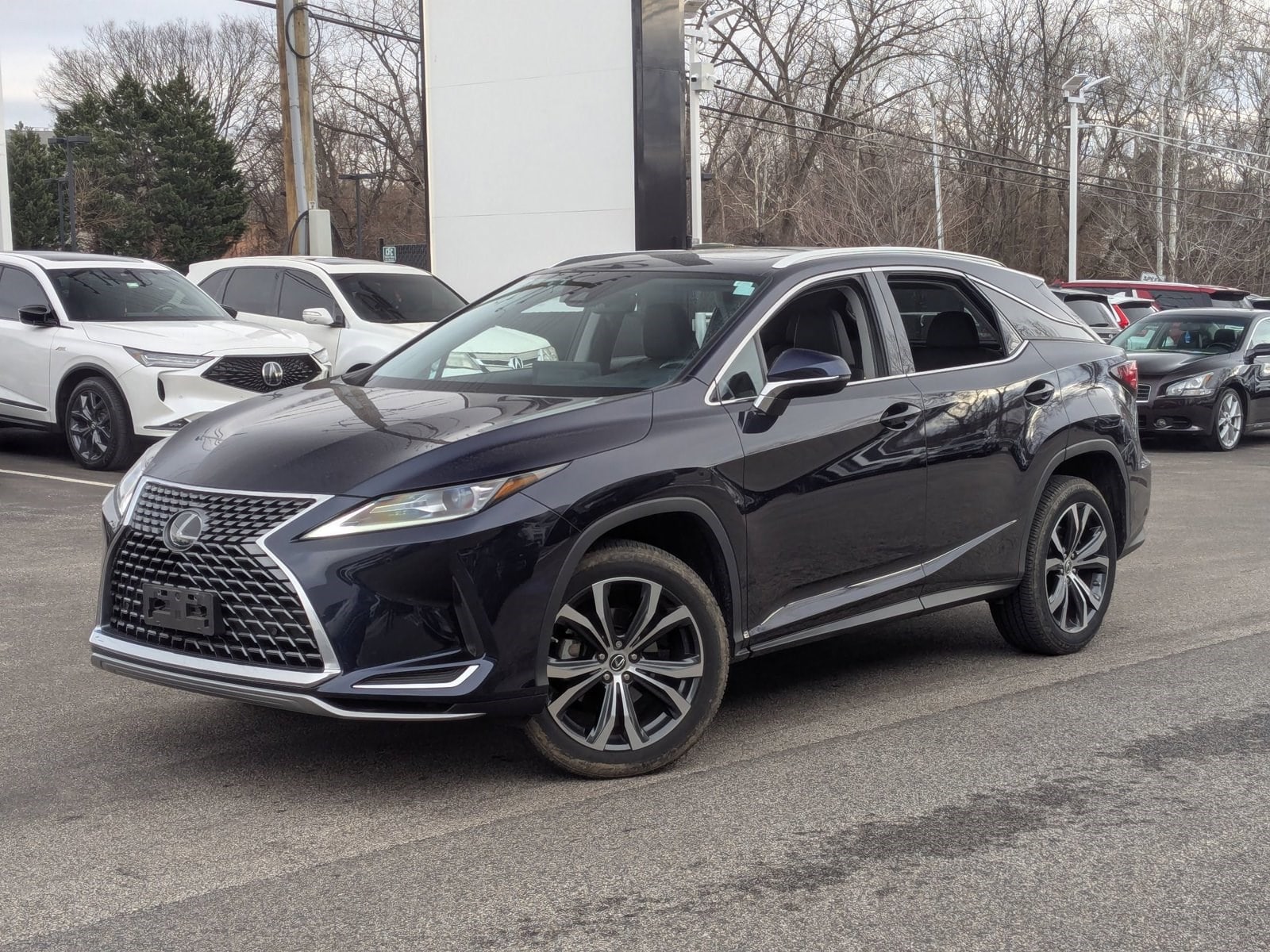 2020 Lexus RX 350's photo