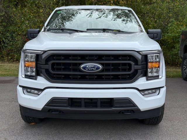 2023 Ford F-150 XLT photo 2