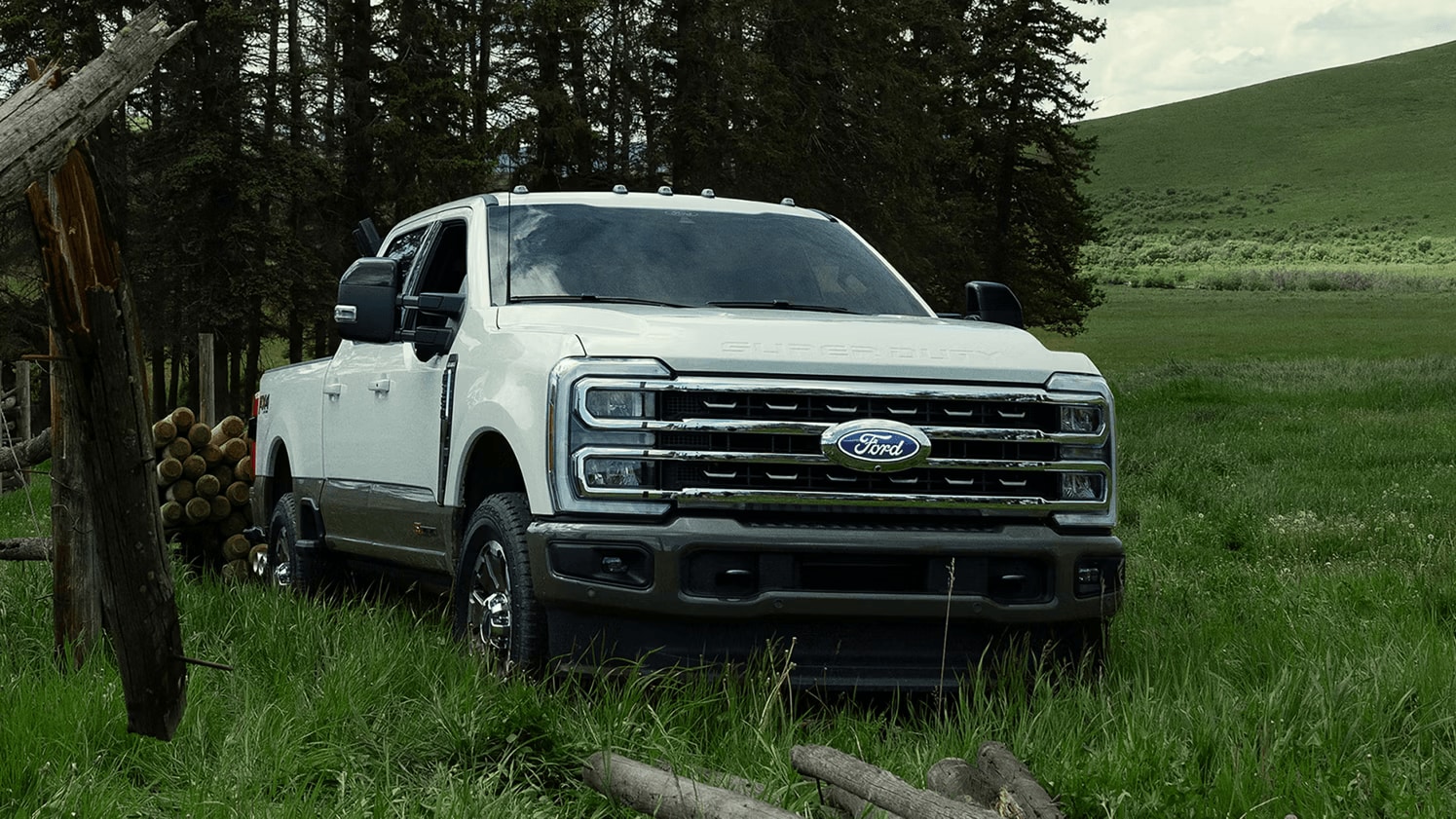 Ford Super Duty F-250 in Oxford White