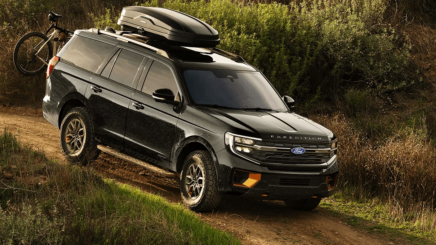 Ford Expedition in Agate Black Metallic