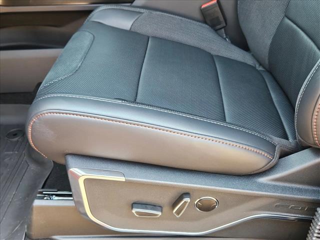 2025 Ford F-150 Raptor photo 3