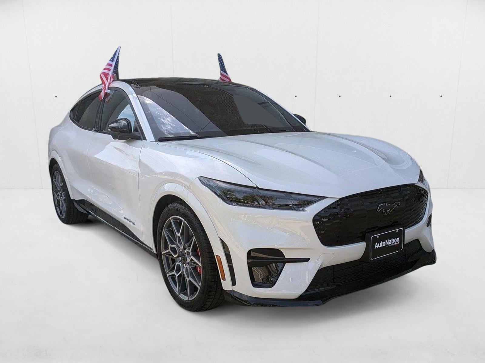 2025 Ford Mustang Mach-E GT - Photo 6