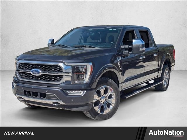 2021 Ford F-150 Platinum's photo