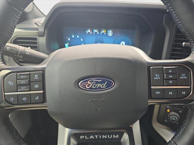 2025 Ford F-150 Platinum - Photo 17