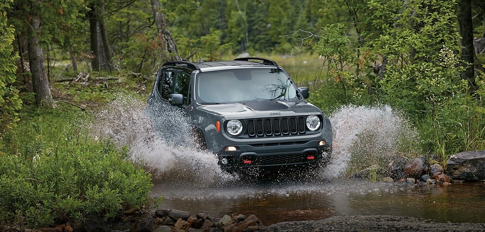 2017 Jeep Renegade in Spring