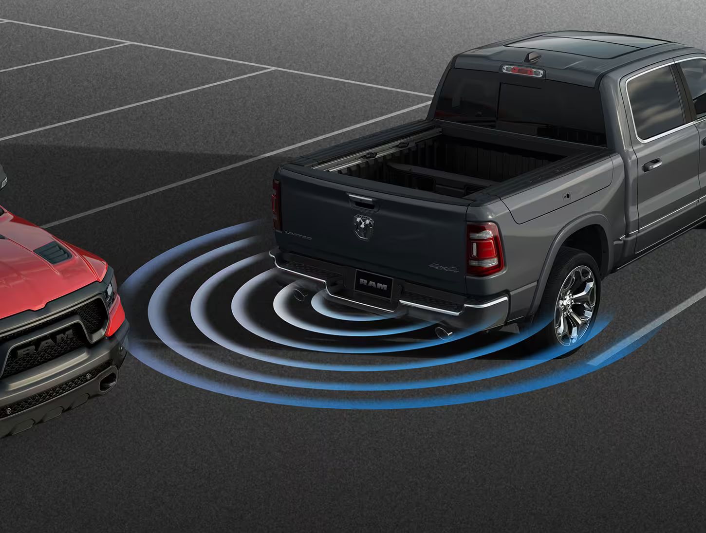 Image of the Parkview Rear Backup Camera.