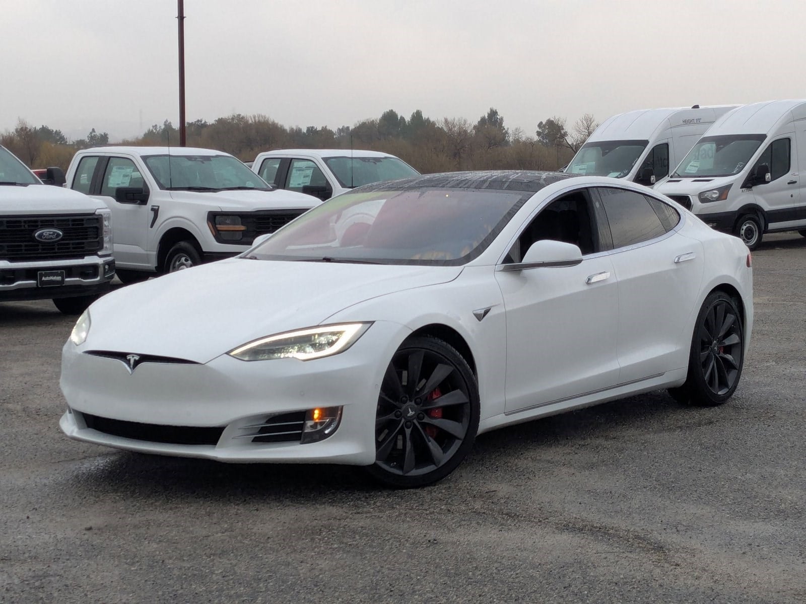 2016 Tesla Model S P90D's photo