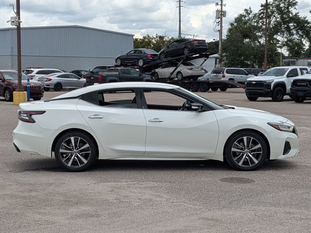 2019 Nissan Maxima SV photo 4