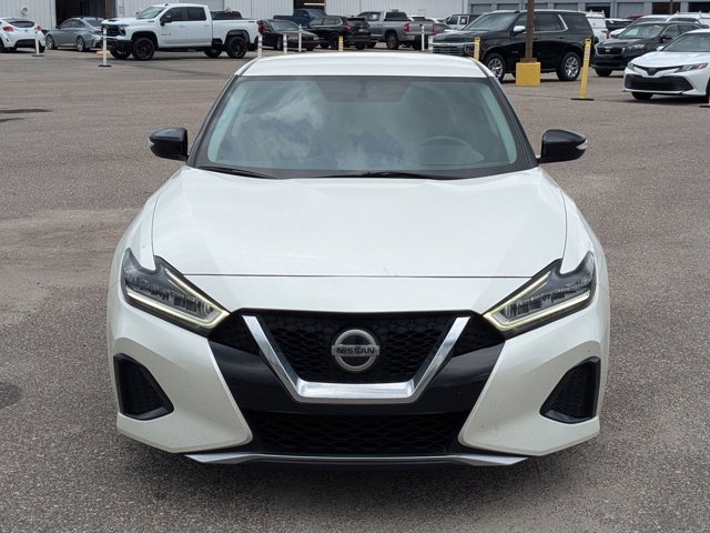 2019 Nissan Maxima SV photo 2