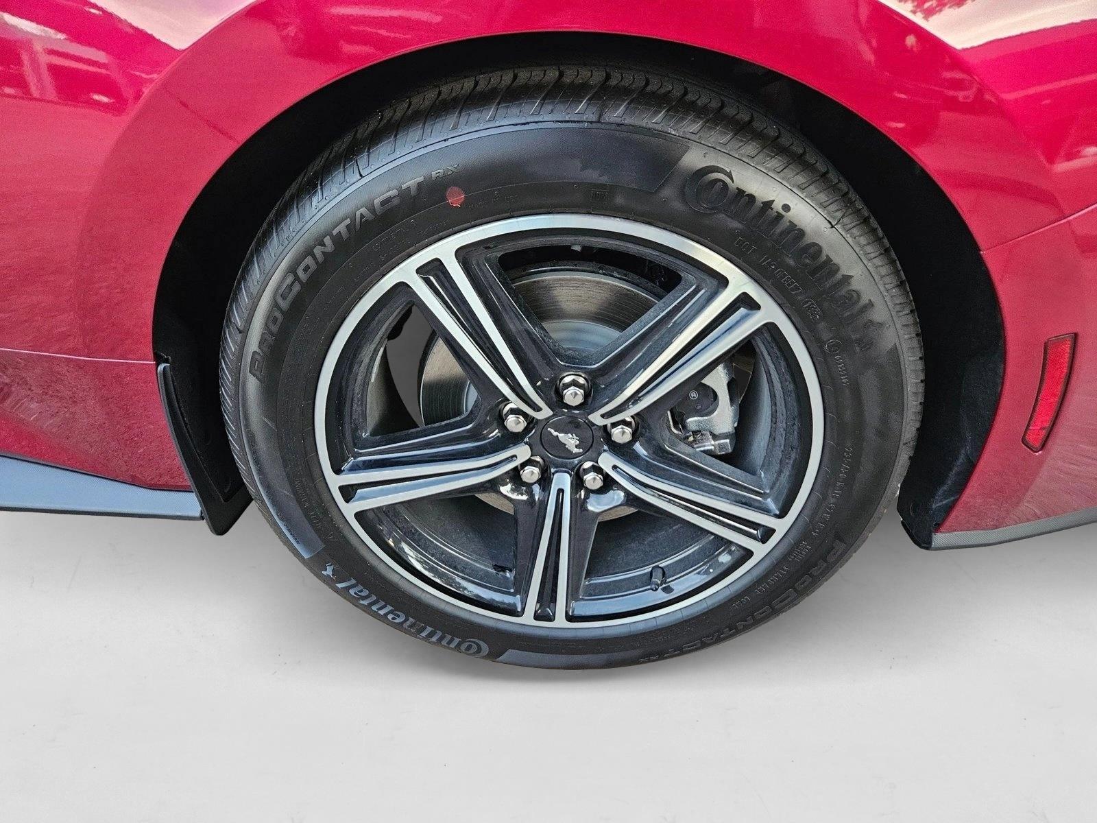 2025 Ford Mustang EcoBoost Fastback - Photo 10