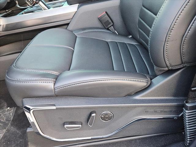 2025 Ford F-150 Platinum photo 4