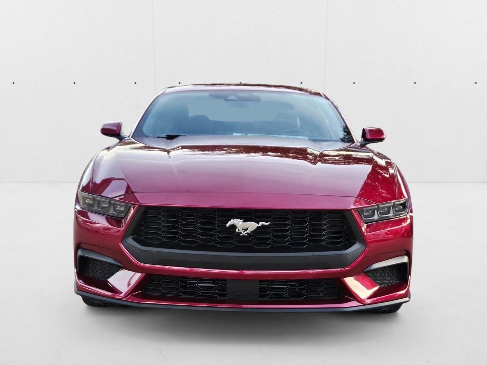 2025 Ford Mustang EcoBoost Fastback - Photo 6