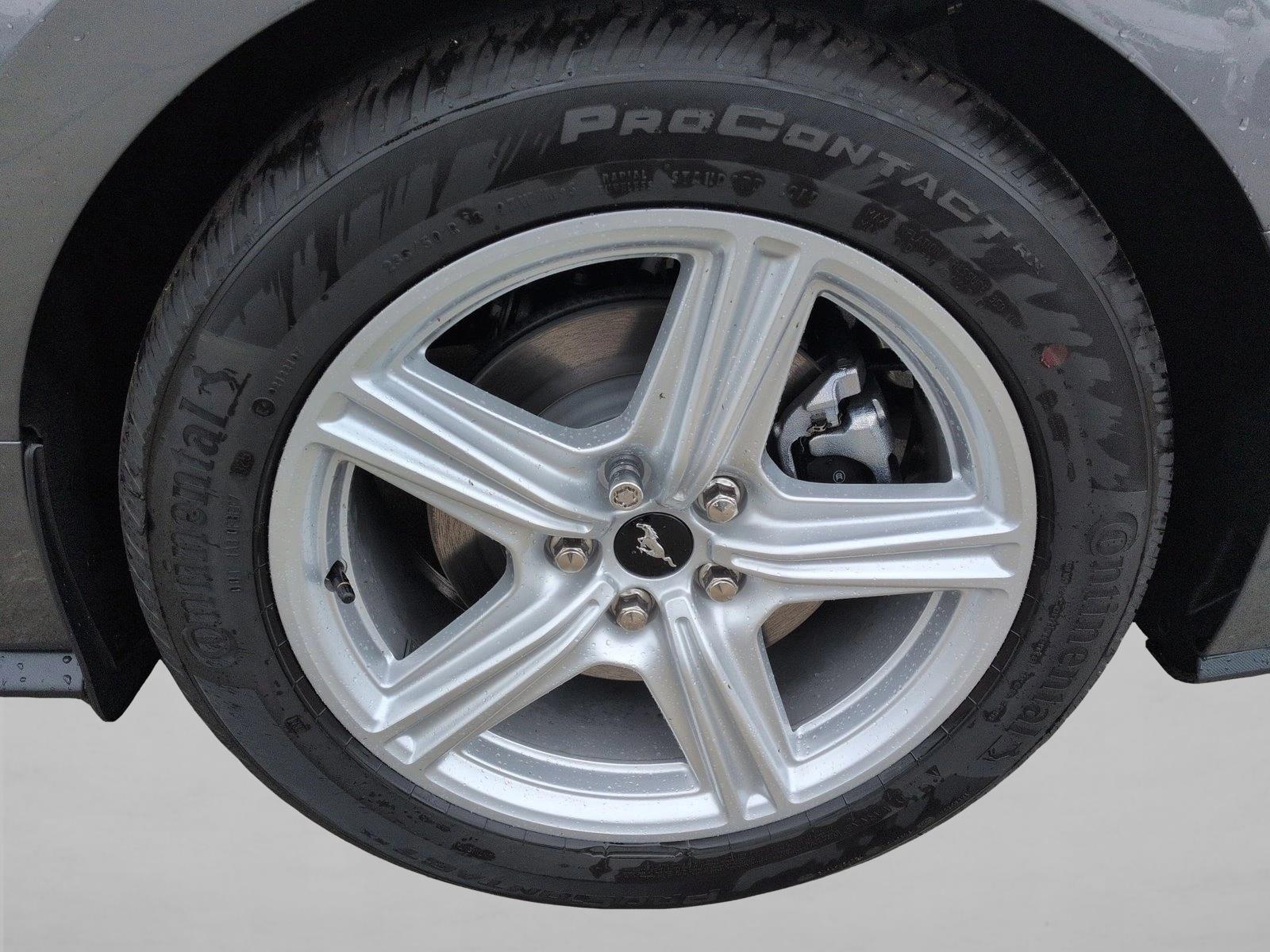 2026 Ford Mustang EcoBoost Fastback - Photo 10
