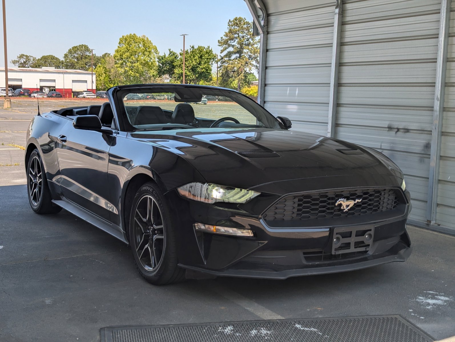 2023 Ford Mustang EcoBoost Premium photo 3