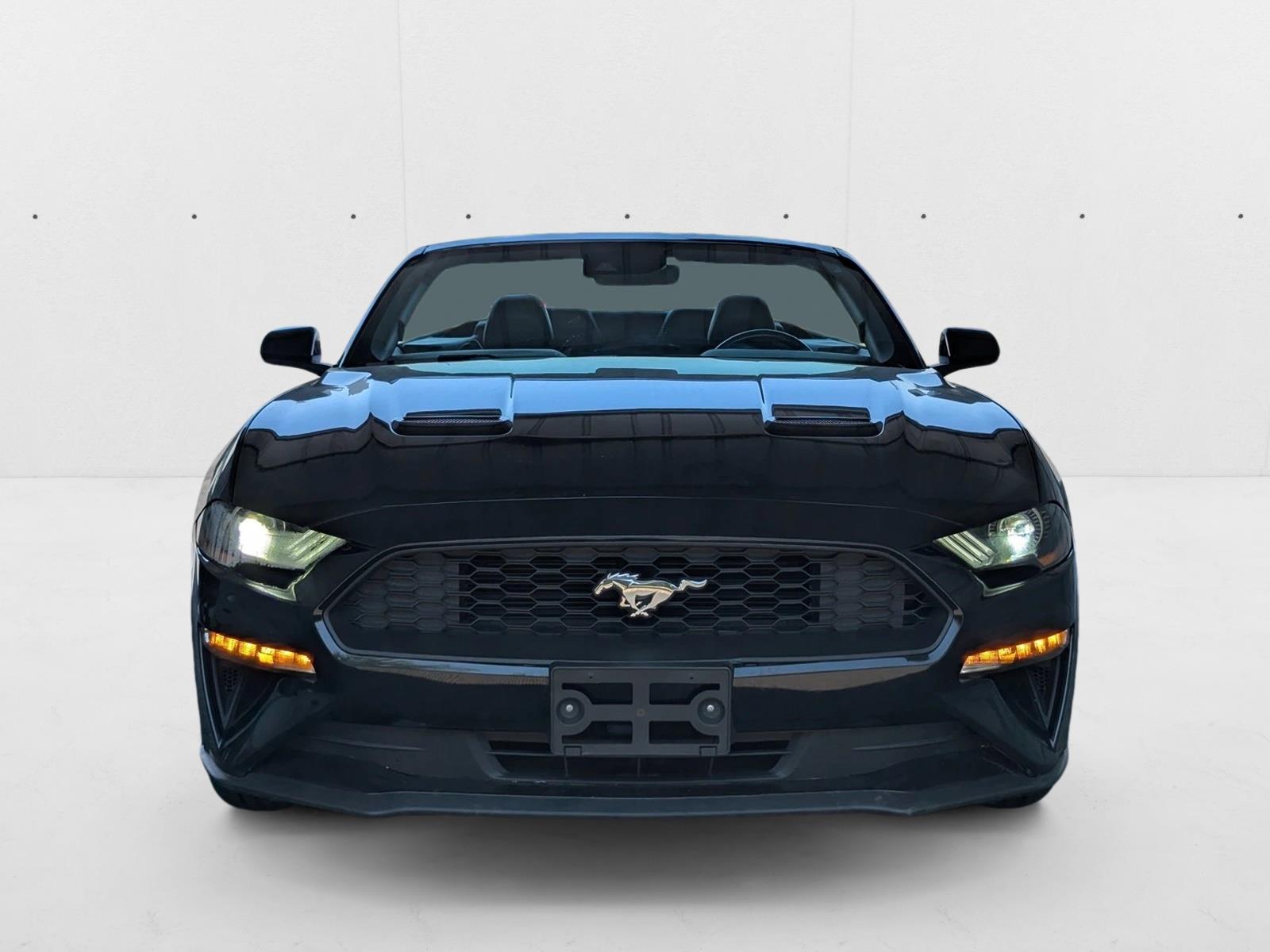 2023 Ford Mustang EcoBoost Premium photo 2